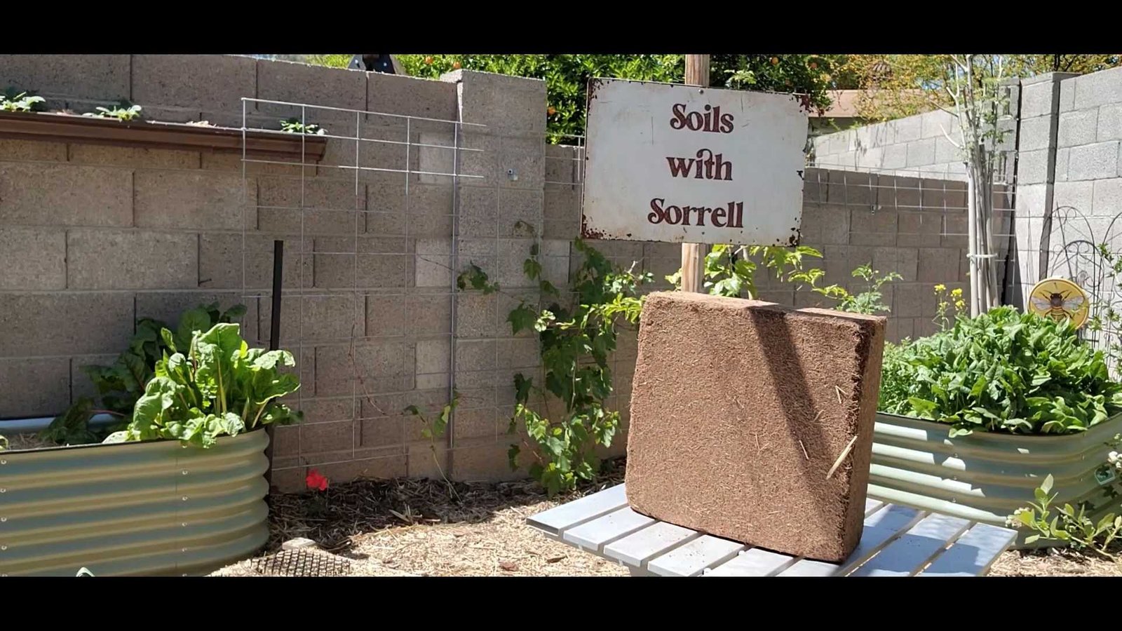 Coconut Coir and soil! Created with Ponvel Products